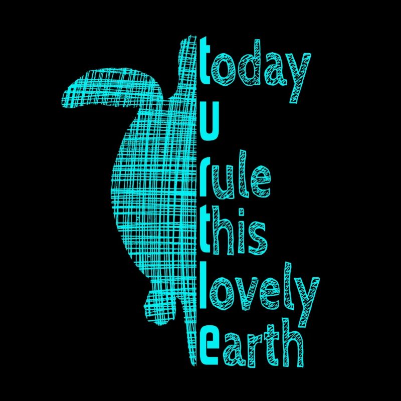 Turtle Schildkröte