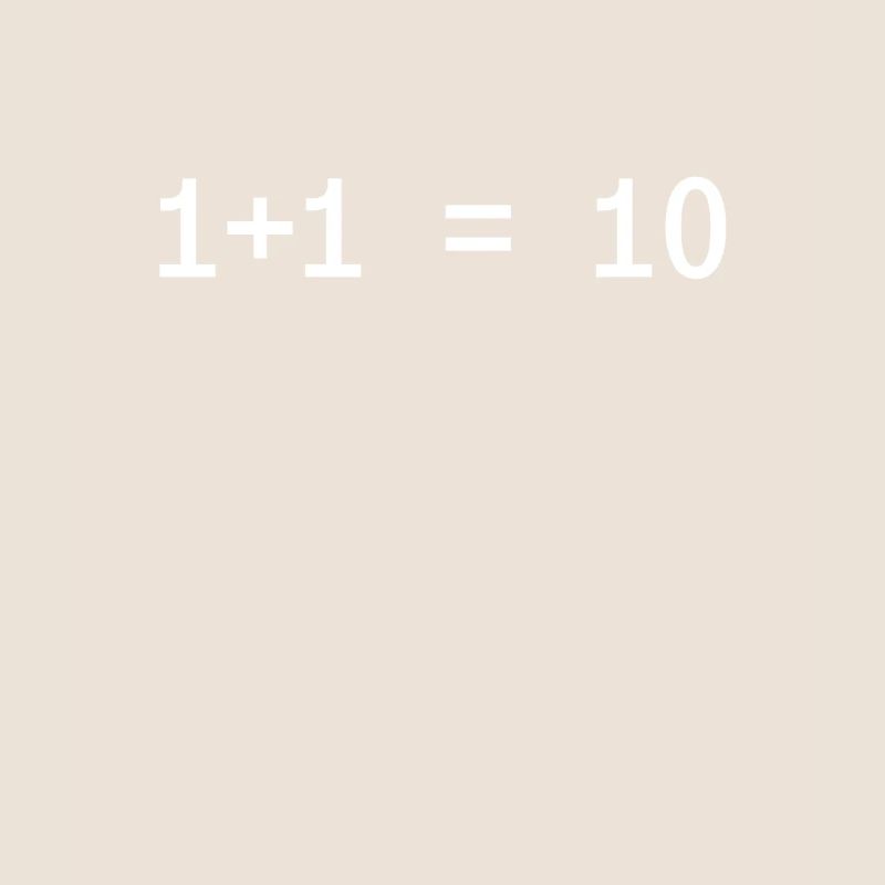 1 + 1 = 10 Funny Programmer Computer Science