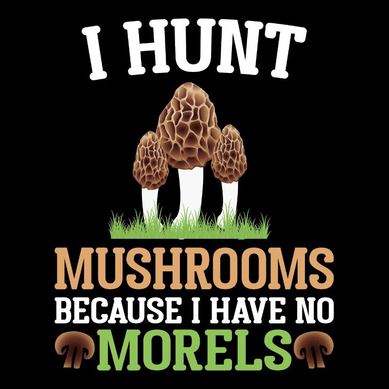 Chasse aux champignons Chercheurs de champignons Champignons Morelles Champignons de la forêt