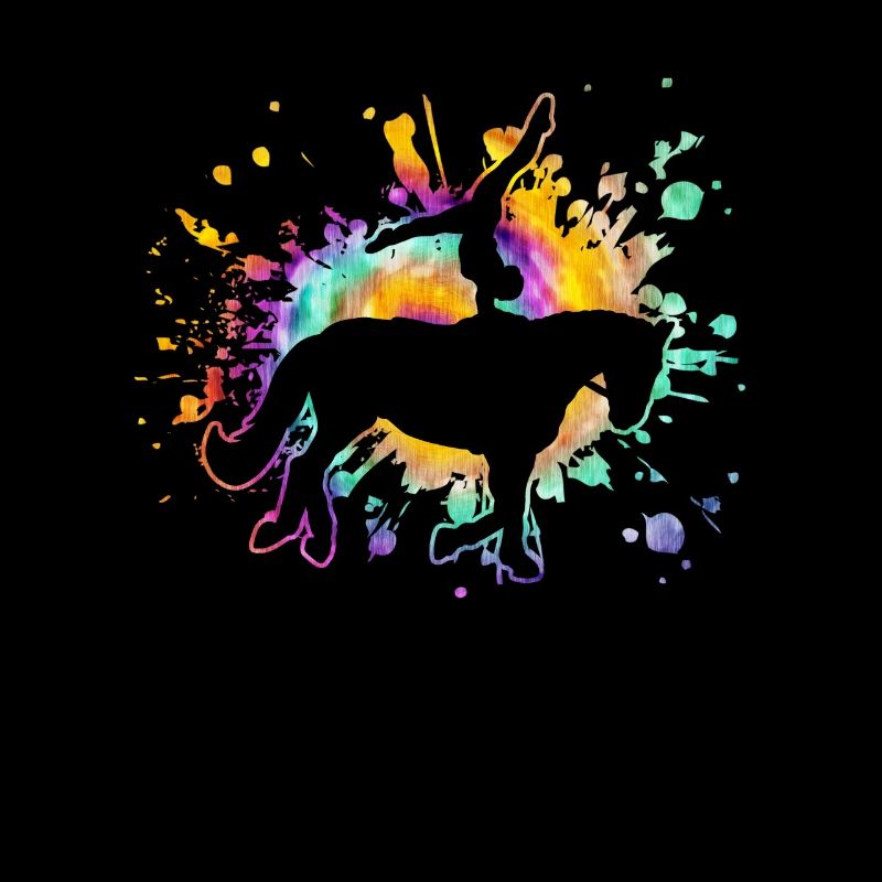 voltige cavalier sauteur