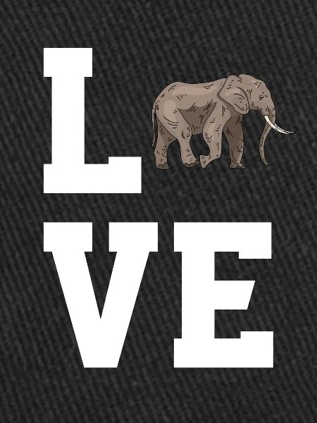 Chers éléphants