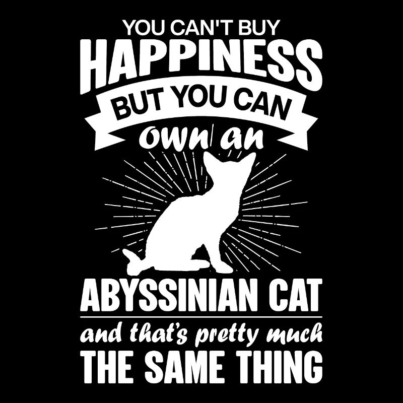 Peut acheter un chat abyssin