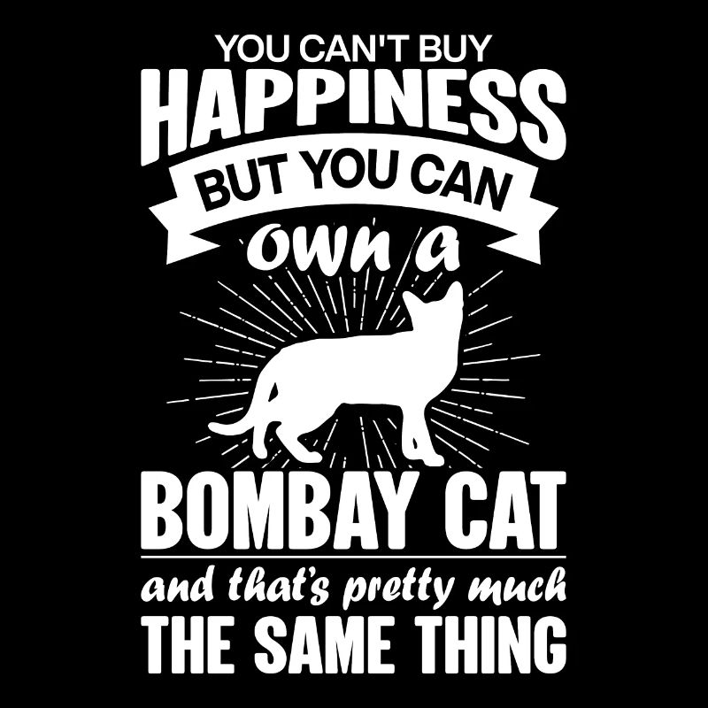 Peut acheter un chat Bombay