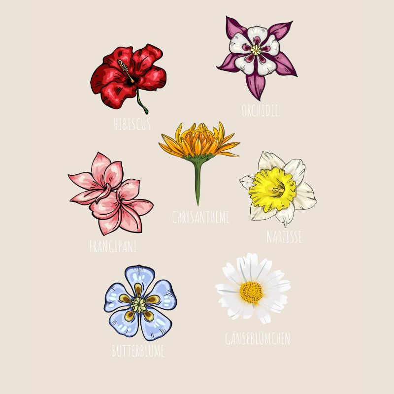 Espèces de fleurs Fleurs