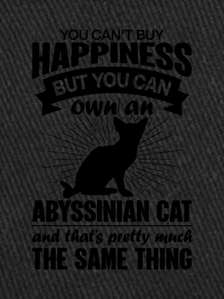 Peut acheter un chat abyssin