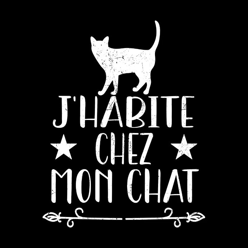 J'habite Chez Mon Chat