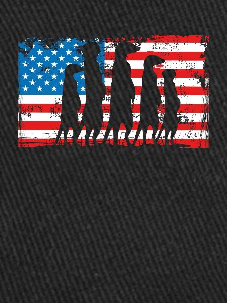 Suricates sur le drapeau américain