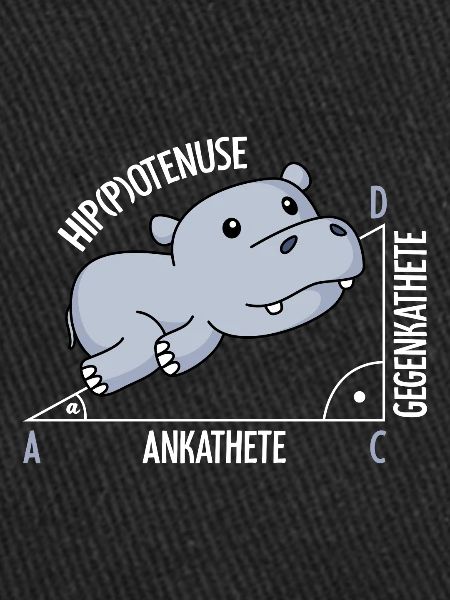 Mathematics Hippotenuse fun math