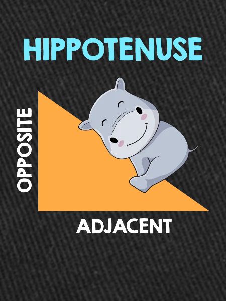 Hippotenuse Algebra Analysis