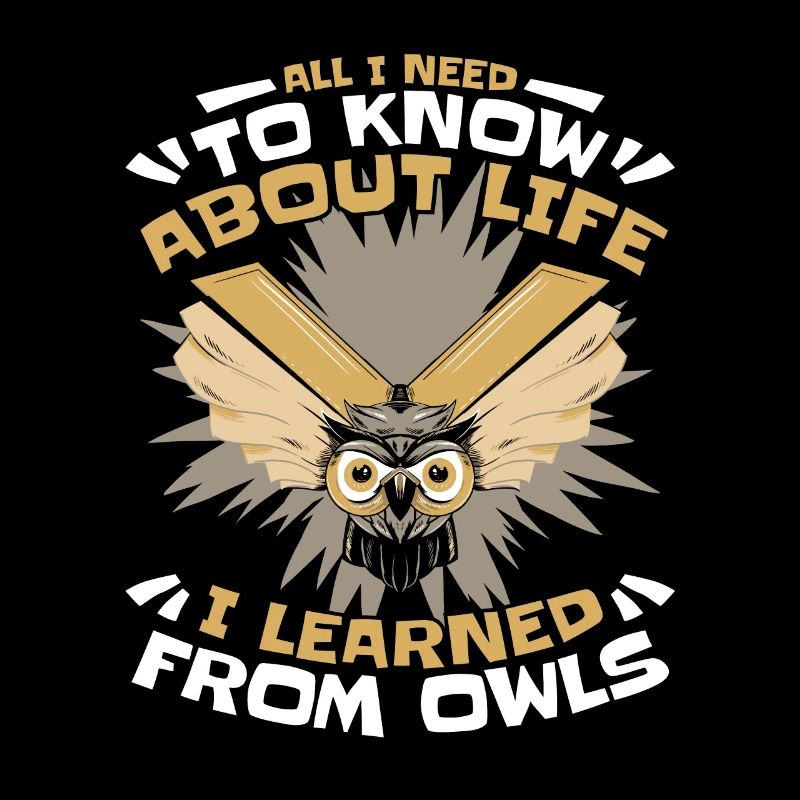 Eule Vogel Tier Eulen