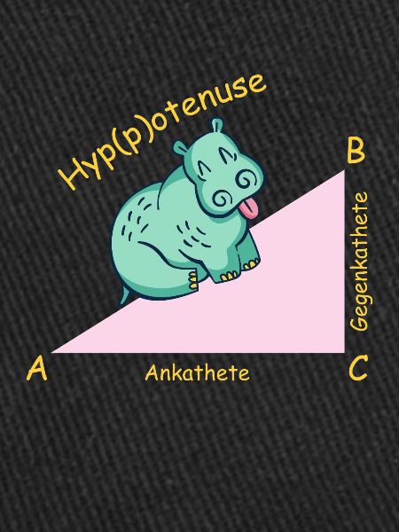Professeur de mathématiques mathématicien Hippotenuse