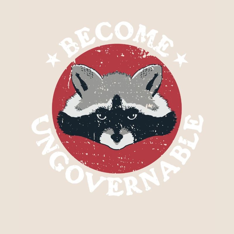Raccoon Retro devient ingouvernable