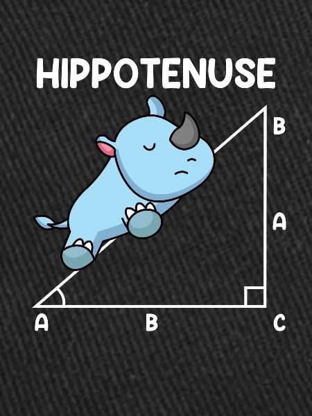 Hypoténuse Hippopotence Math