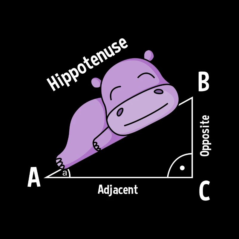 Math teacher Hipotenuse Math