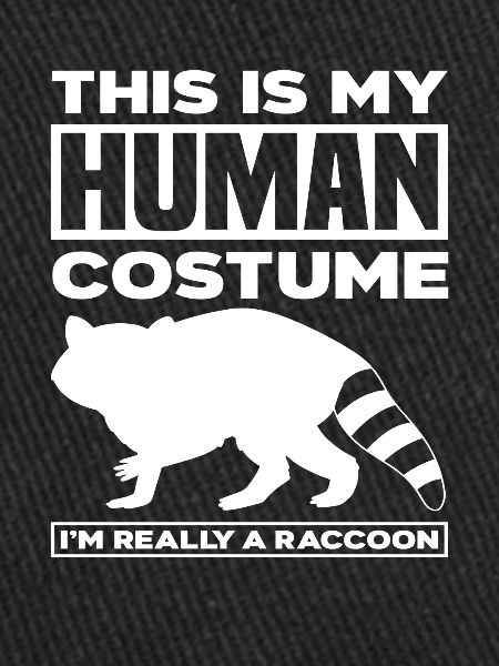 Costume de raton laveur