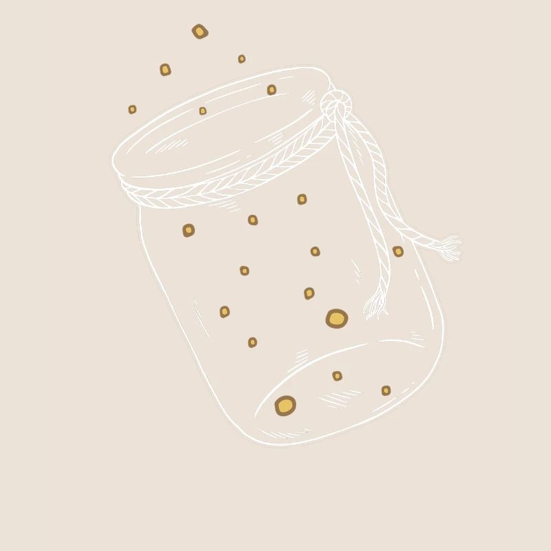 Firefly firefly insect