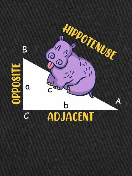 Hippotenuse Math