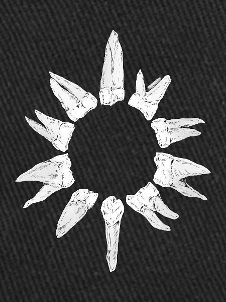 Teeth