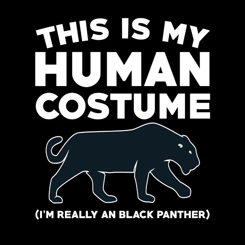 Costume de Panthère Noire