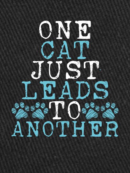 A cat leads only
