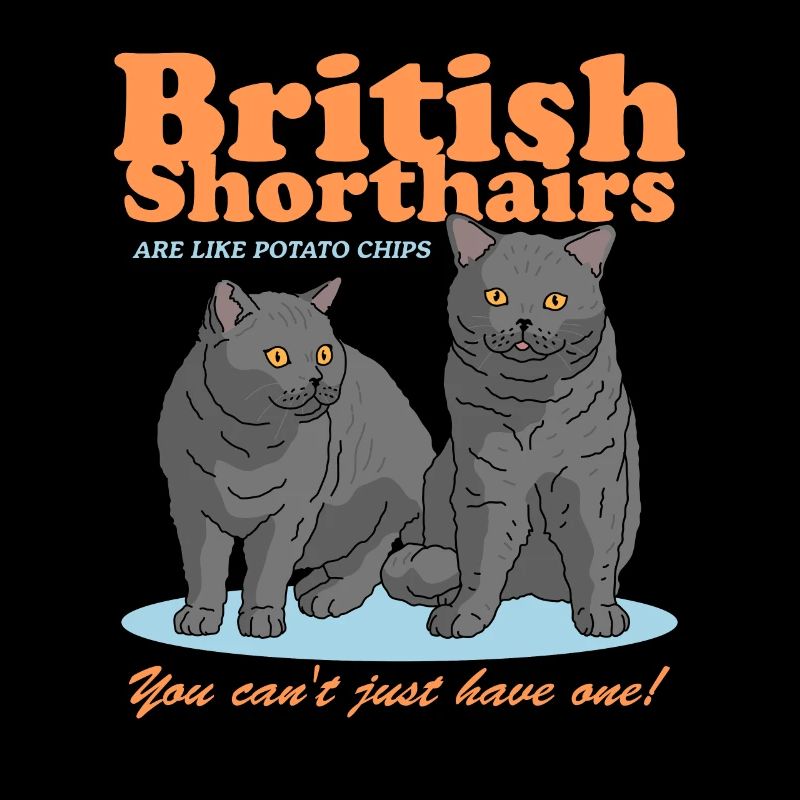 Britisch Kurzhaar Katzen Geschenk