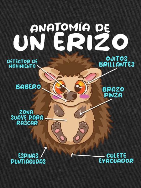 Anatomie d’un hérisson amusant