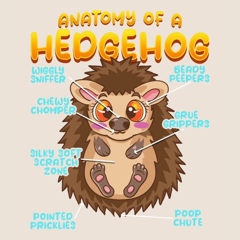 Anatomie eines lustigen Igels