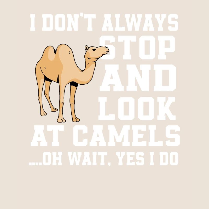 Funny camel proverb