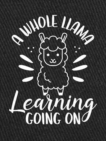 A Whole Lama Learns