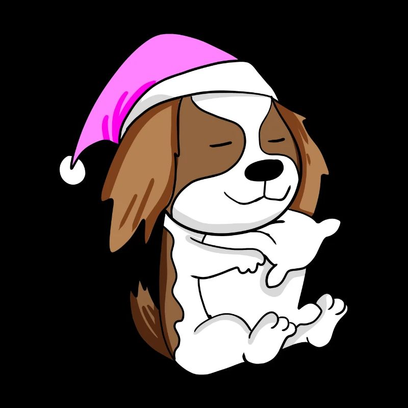 Chien race de chien Cavalier King Charles Spaniel