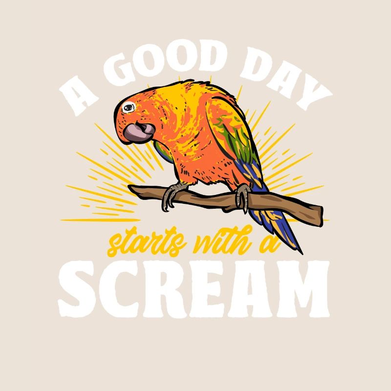 Molinasittich Parrot Bird Sun Parakeet