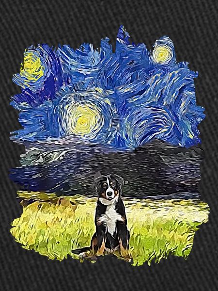 Starry Night - Berner Berg
