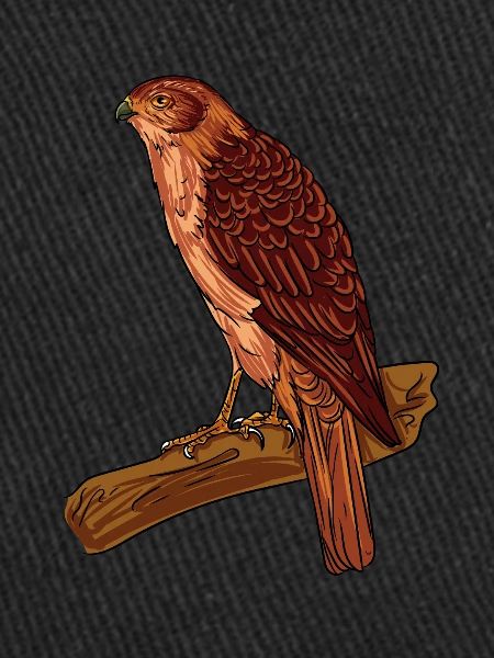 Kestrel