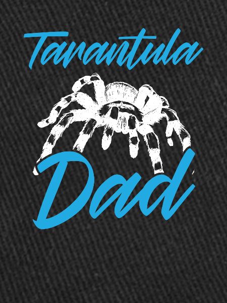 Tarantula Papa