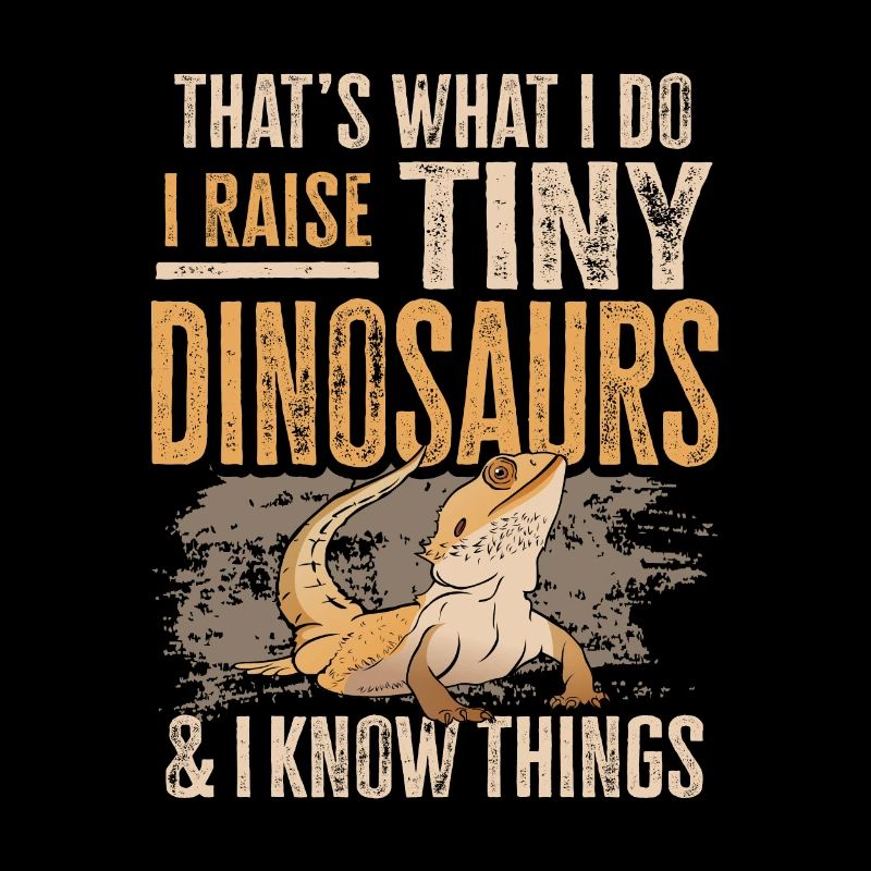 Bearded Dragon Lizard Reptile Herpetologist