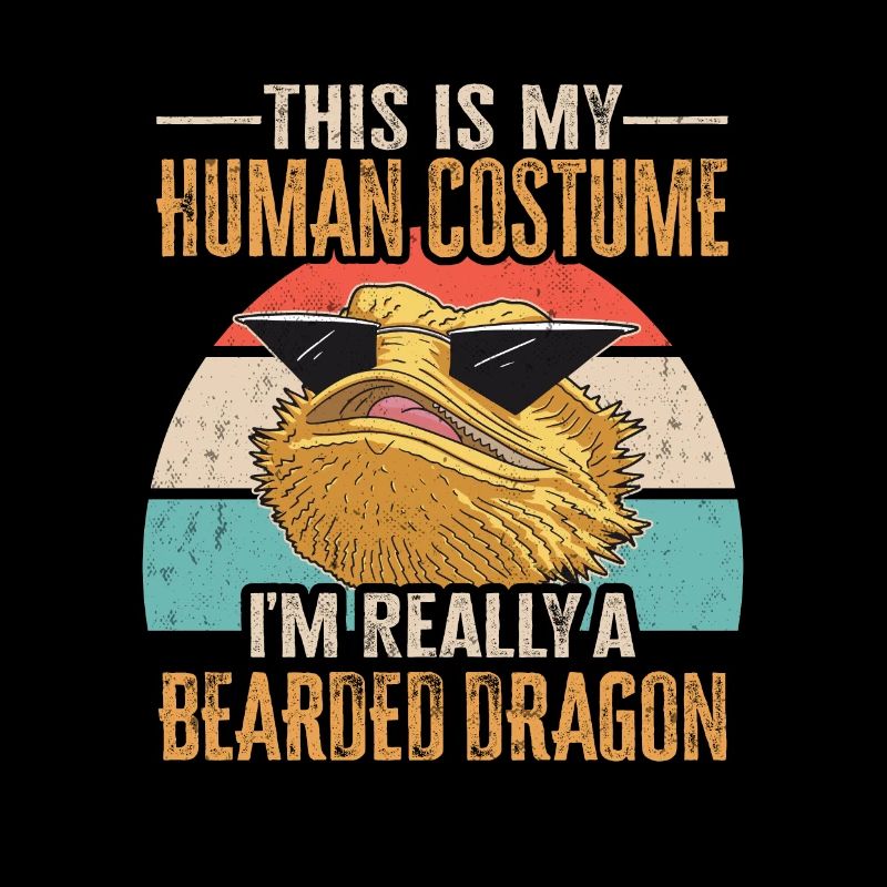 Bearded Dragon Lizard Reptile Herpetologist