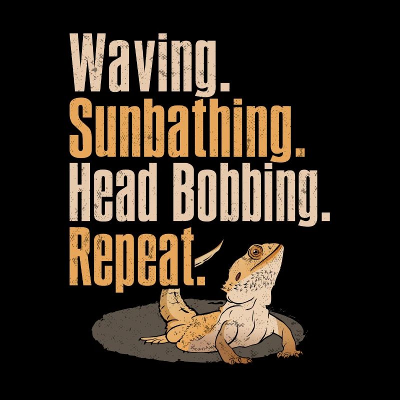 Bearded Dragon Lizard Reptile Herpetologist