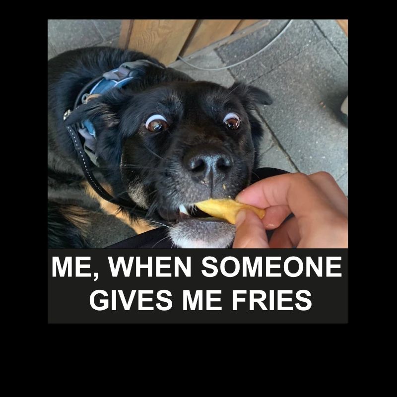 Français frites chien