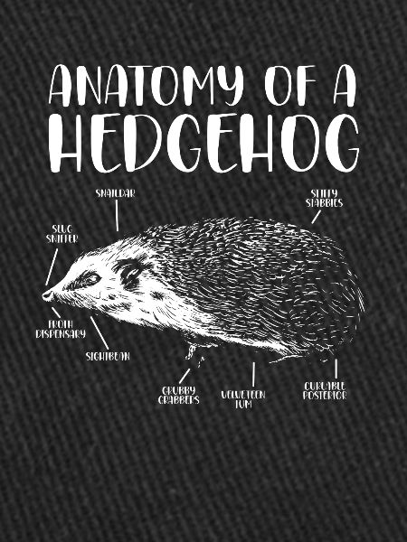 Anatomie d’un hérisson