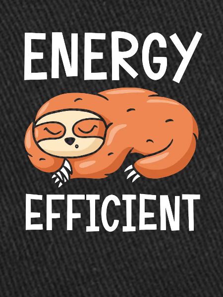 Energy-efficient sloth