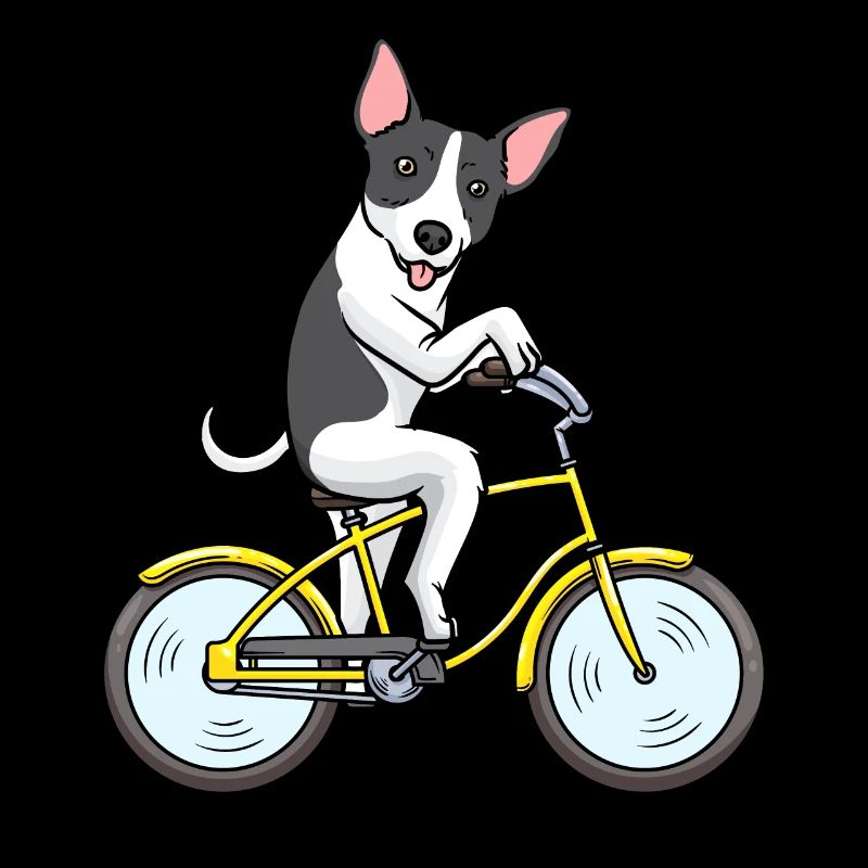 Rat Terrier Chien Vélo Cyclisme