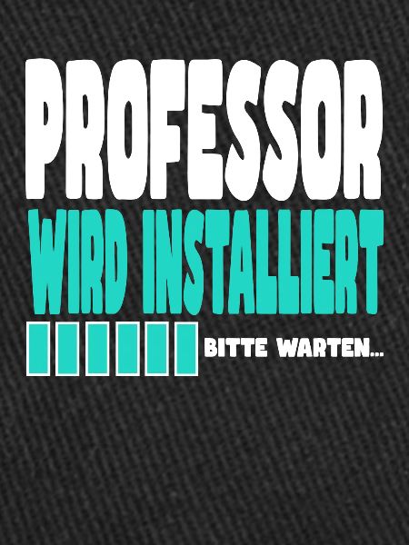 Professor wird installiert