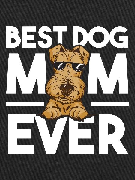 Airedale Terrier Chien