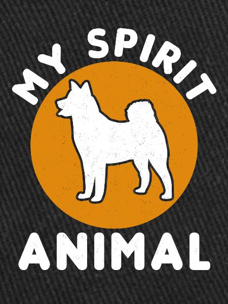 Akita Inu américain
