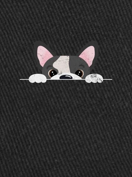 Boston Terrier