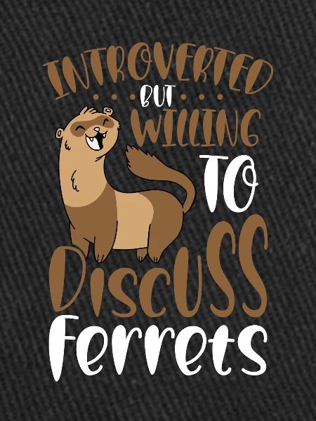 Furets à discuter