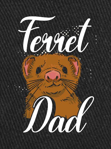 Beau père furet