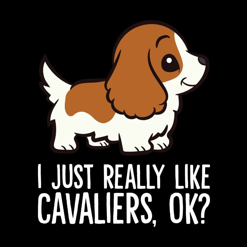 Ich mag Cavaliere einfach sehr, okay? Cavalier