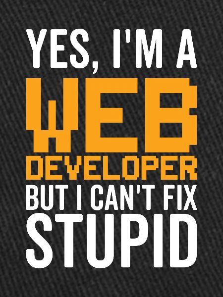 Stupid - Web Developer