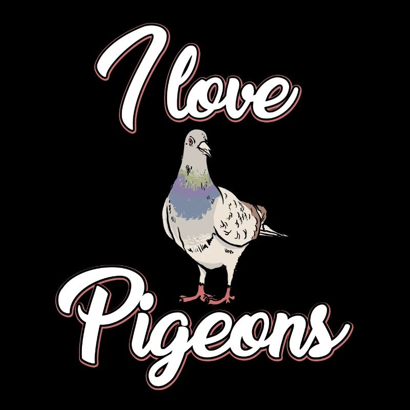 I love pigeons